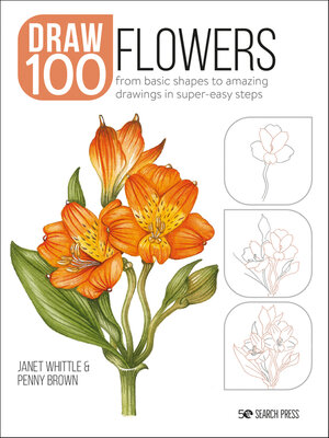 cover image of Draw 100